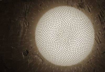 FOC推出全新科技照明與通信融合產(chǎn)品系列