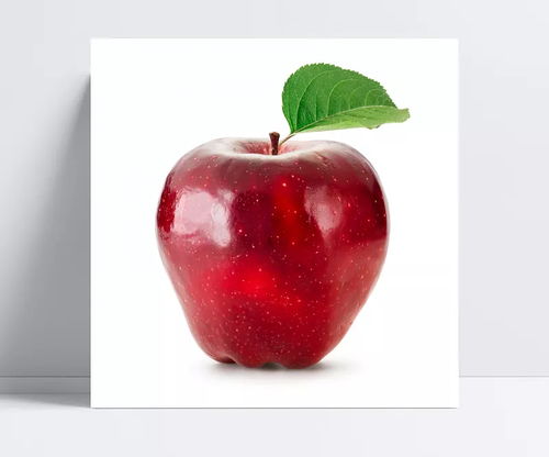 蘋果之魅 從青澀到甘醇的美食之旅