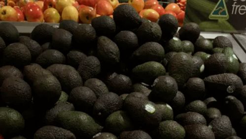 澳洲牛肉價(jià)格將上漲，果蔬價(jià)格有望下跌 市場波動(dòng)背后的原因與展望