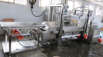 希源T2小麻花油炸生產(chǎn)線 多年信譽(yù)鑄就食品包裝機(jī)械信賴之選