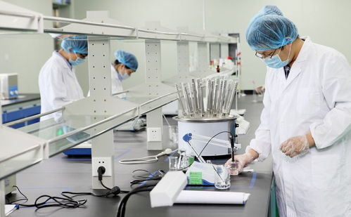 內外兼修 從食品包裝機械看現代美的雙重邏輯